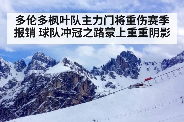 多伦多枫叶队主力门将重伤赛季报销 球队冲冠之路蒙上重重阴影